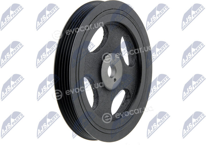 NTY RKP-MS-004