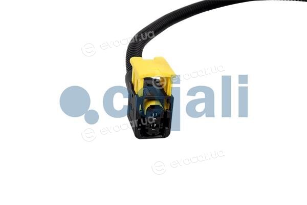 Cojali 2260881