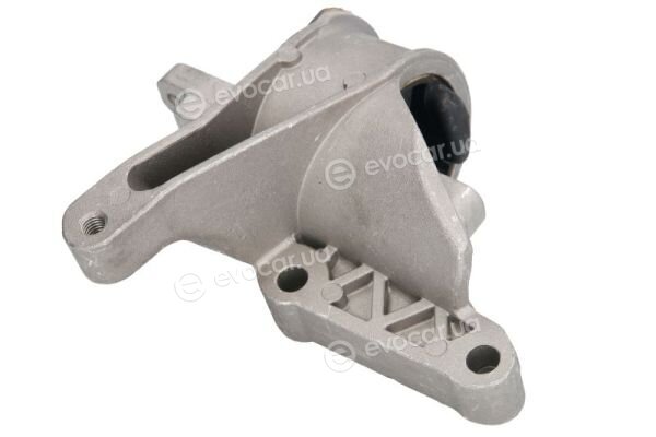 Reinhoch RH11-0117