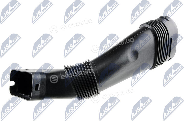 NTY GPP-BM-016