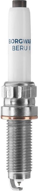 BorgWarner Z366
