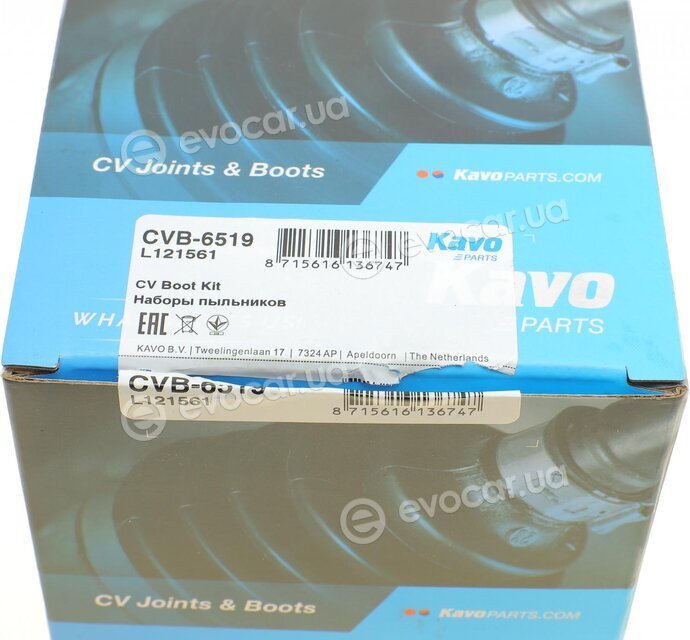 Kavo CVB-6519