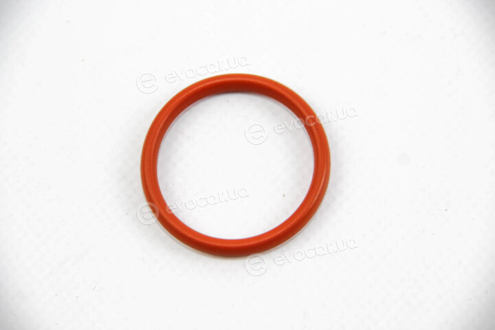 Elring 258.620