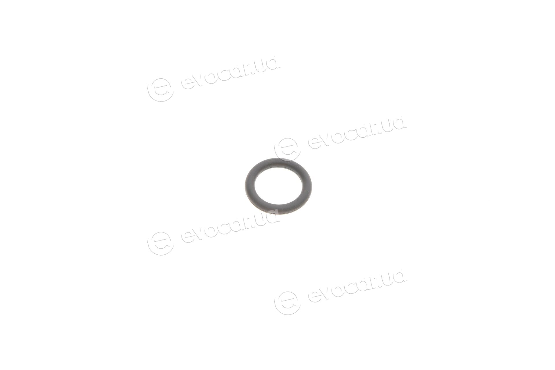 Frenkit 242023