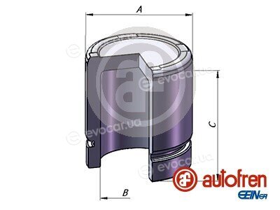 Autofren D025301