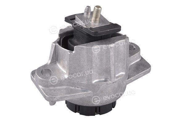 Tedgum TED69852