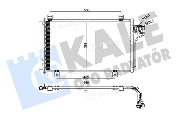 Kale 357975