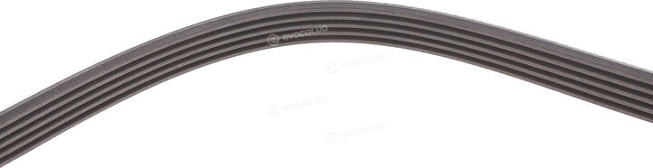 Continental 5PK1427