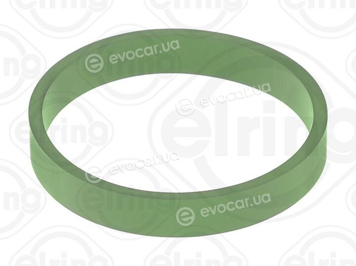 Elring 313.080