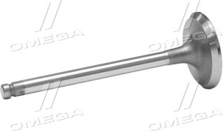 Gunes 4033