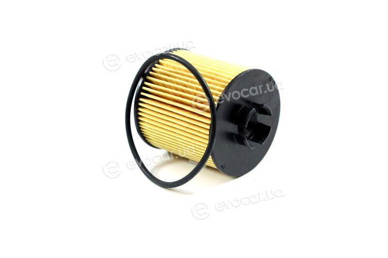 Mahle OX 341D
