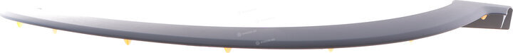 Renault / Nissan 638120719R