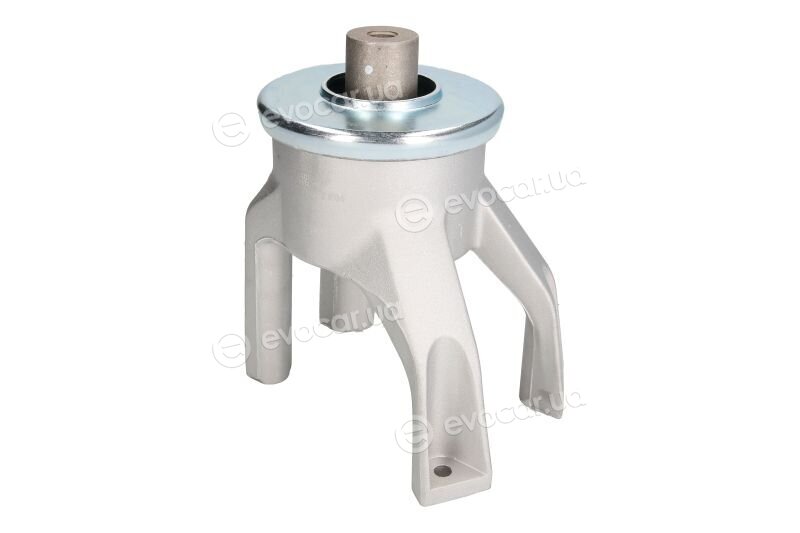 Reinhoch RH11-0126