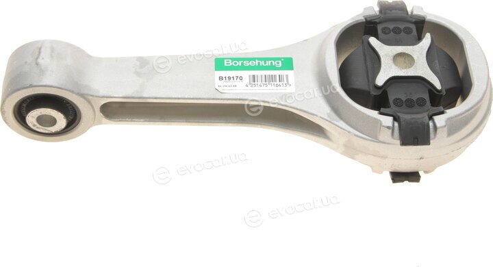 Borsehung B19170