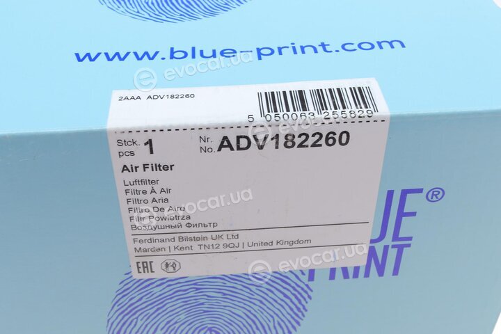 Blue Print ADV182260