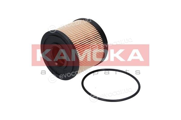Kamoka F305101