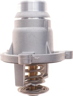 Wahler / BorgWarner 4508.101D