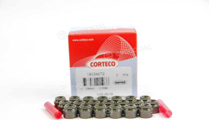 Corteco 19034072