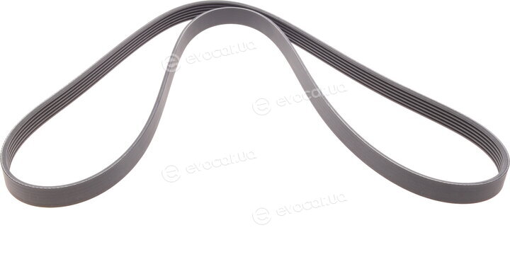 Continental 6PK1613