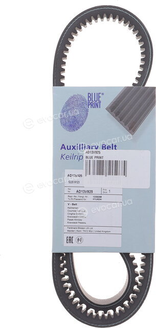Blue Print AD13V925