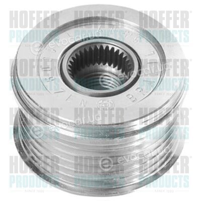 Hoffer 45246