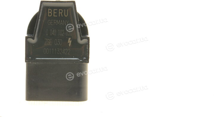 Beru ZSE030