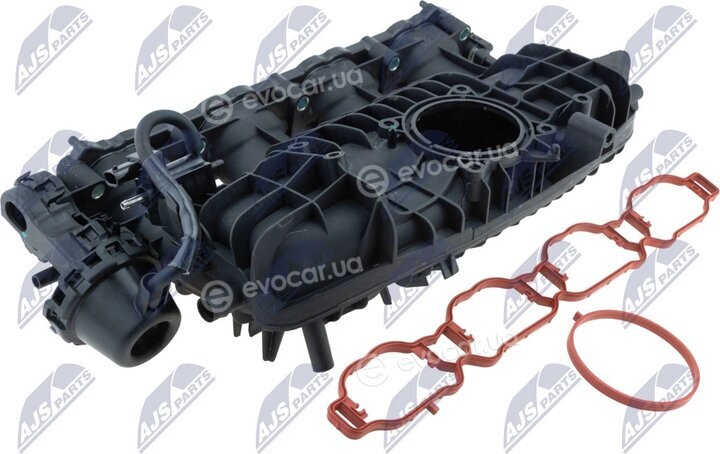 NTY BKS-VW-031