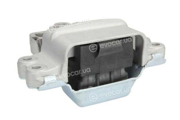 Reinhoch RH11-0036