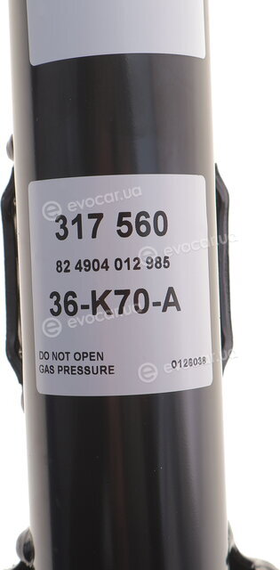 Sachs 317 560