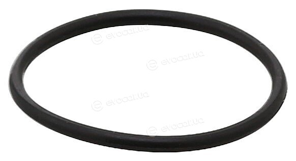 Elring 311.320