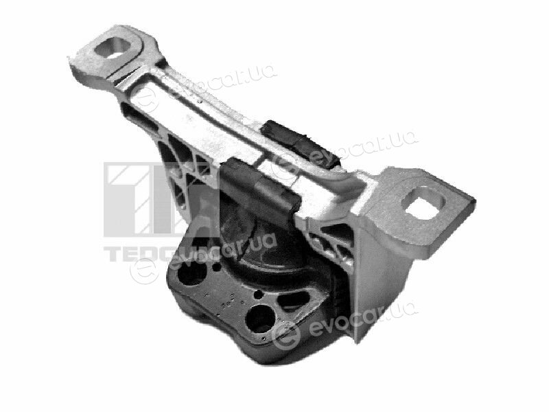 Tedgum 00226633