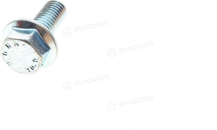Solgy 203158