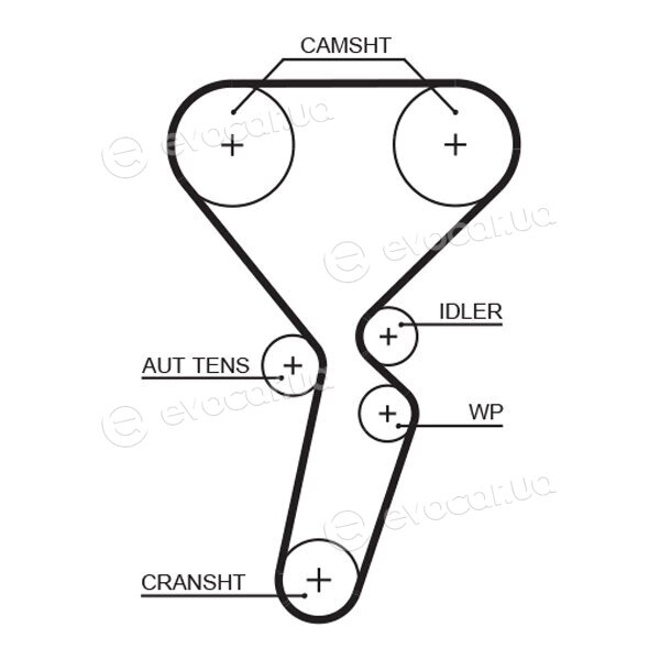 Gates K035501XS