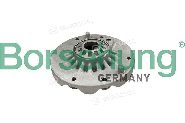 Borsehung B10051