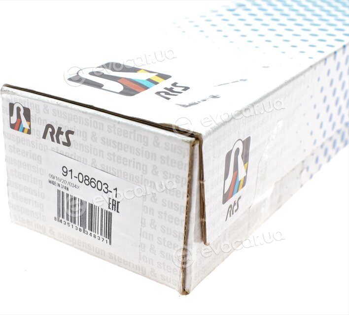RTS 91-08603-1