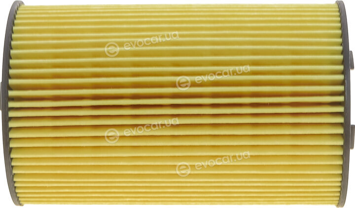 Hengst E134H D31