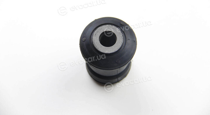 BC Guma 0627