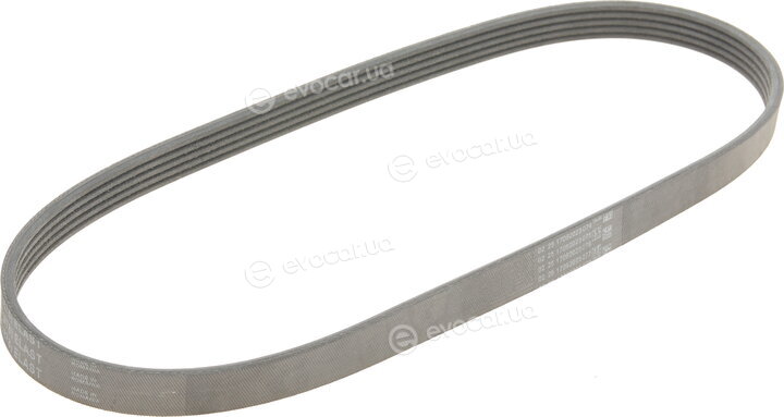 Continental 5PK898 ELAST