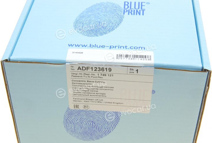 Blue Print ADF123619