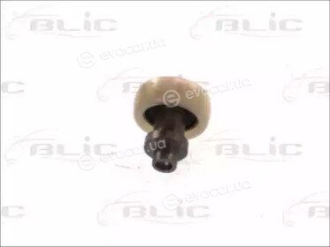Blic 6003-00-0058P
