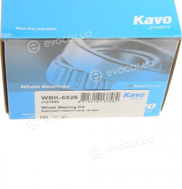 Kavo WBK-6526