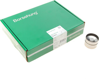 Borsehung B18837