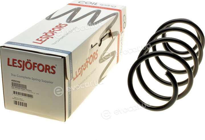 Lesjofors 4092592