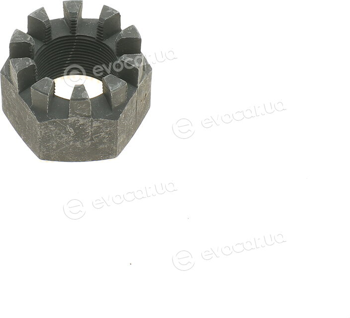 Solgy 216159