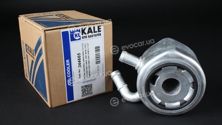 Kale 344665