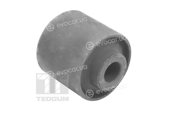 Tedgum TED54699