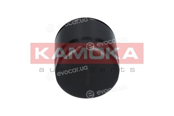 Kamoka F101701