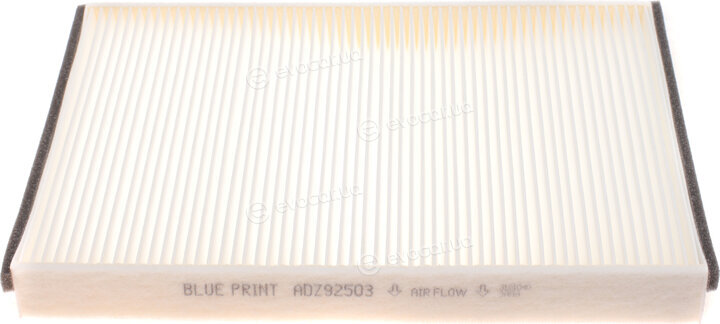 Blue Print ADZ92503