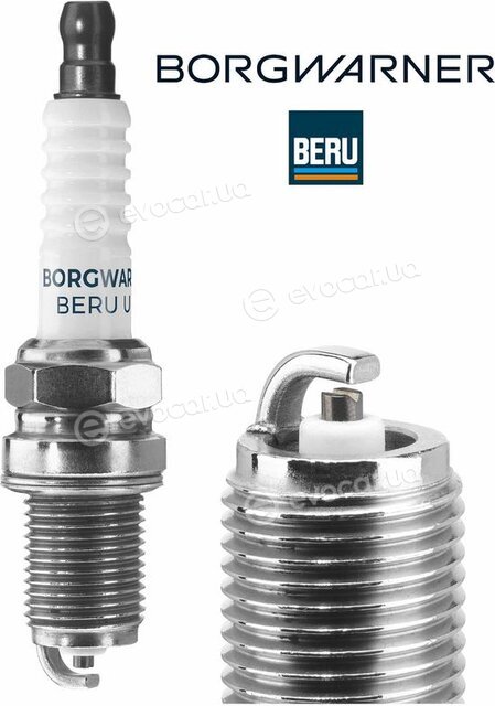 BorgWarner Z100