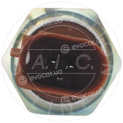 AIC 58096